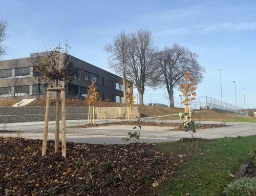 Neuer Parkplatz an der Grundschule Sötern fertiggestellt